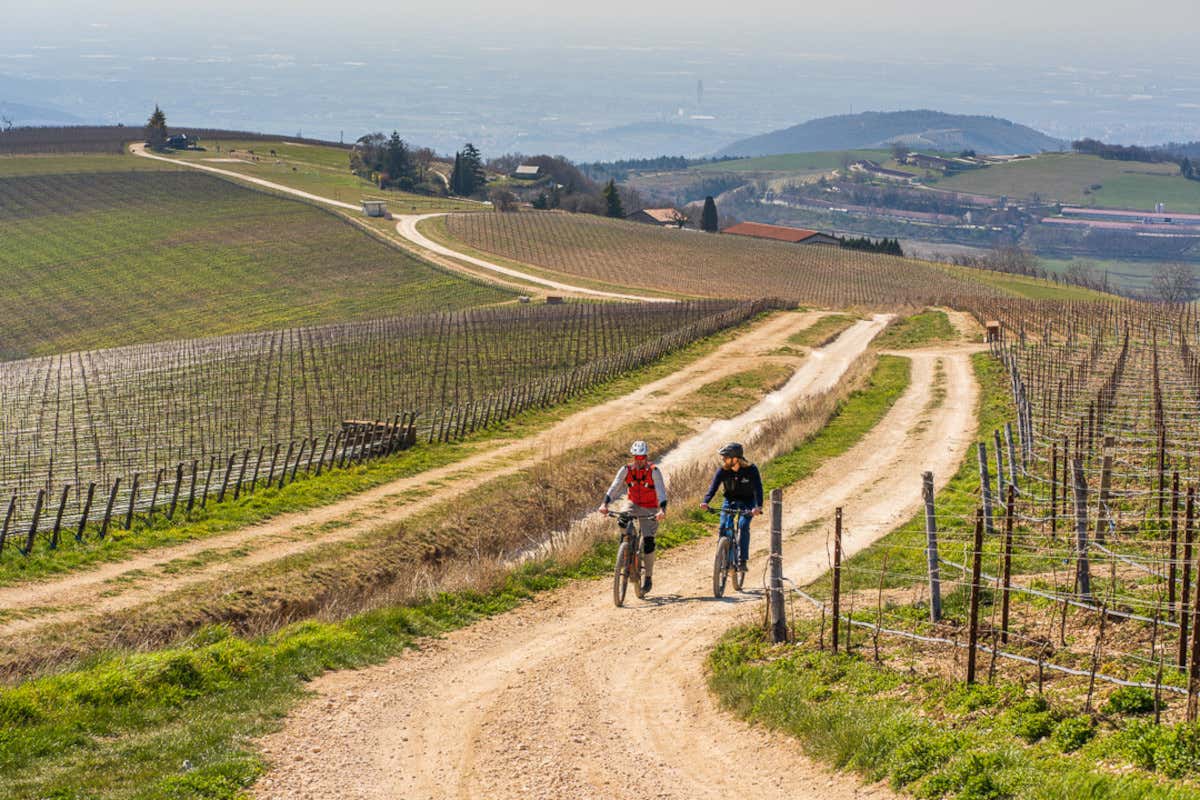 Ca' del Moro: quando il vino incontra la cucina d'autore in Valpantena
