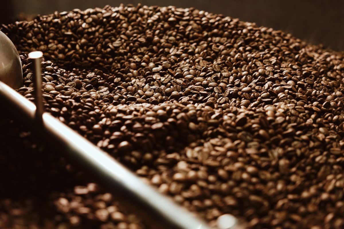 In Italia i bar muoiono perché ormai chiunque può aprirne uno