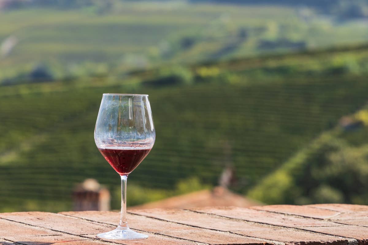 Vino italiano, numeri in calo: ma è una questione di prezzo?