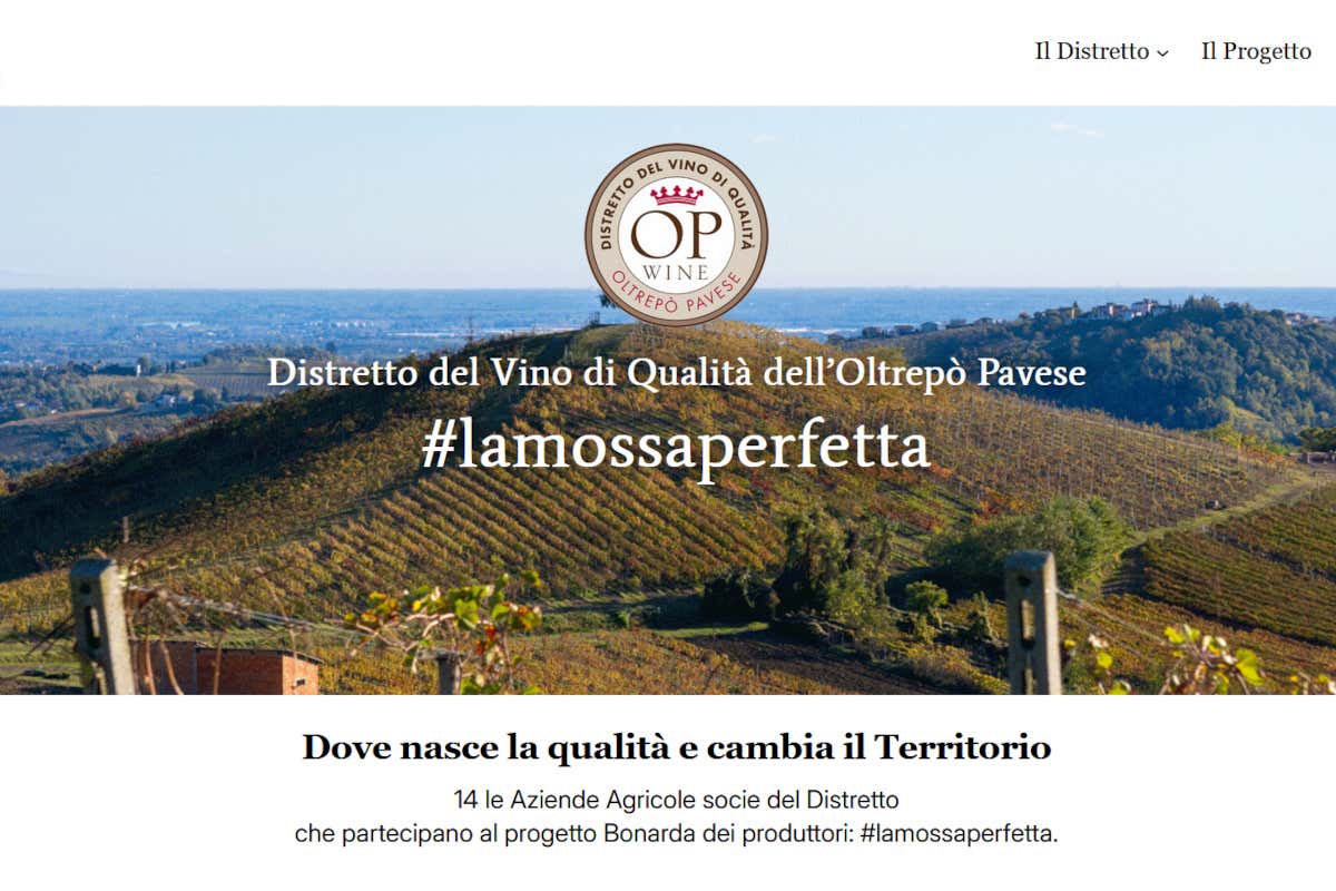 Bonarda #lamossaperfetta: il racconto digitale del rosso frizzante dell’Oltrepò Bonarda #lamossaperfetta: il racconto digitale del rosso frizzante dell’Oltrepò