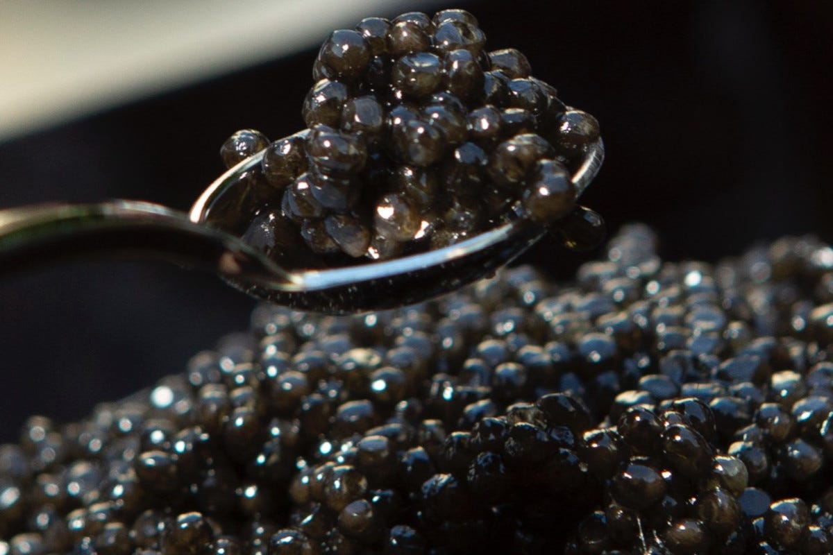 La novità di Calvisius Caviar è Unico: sapore inedito e consistenza strutturata