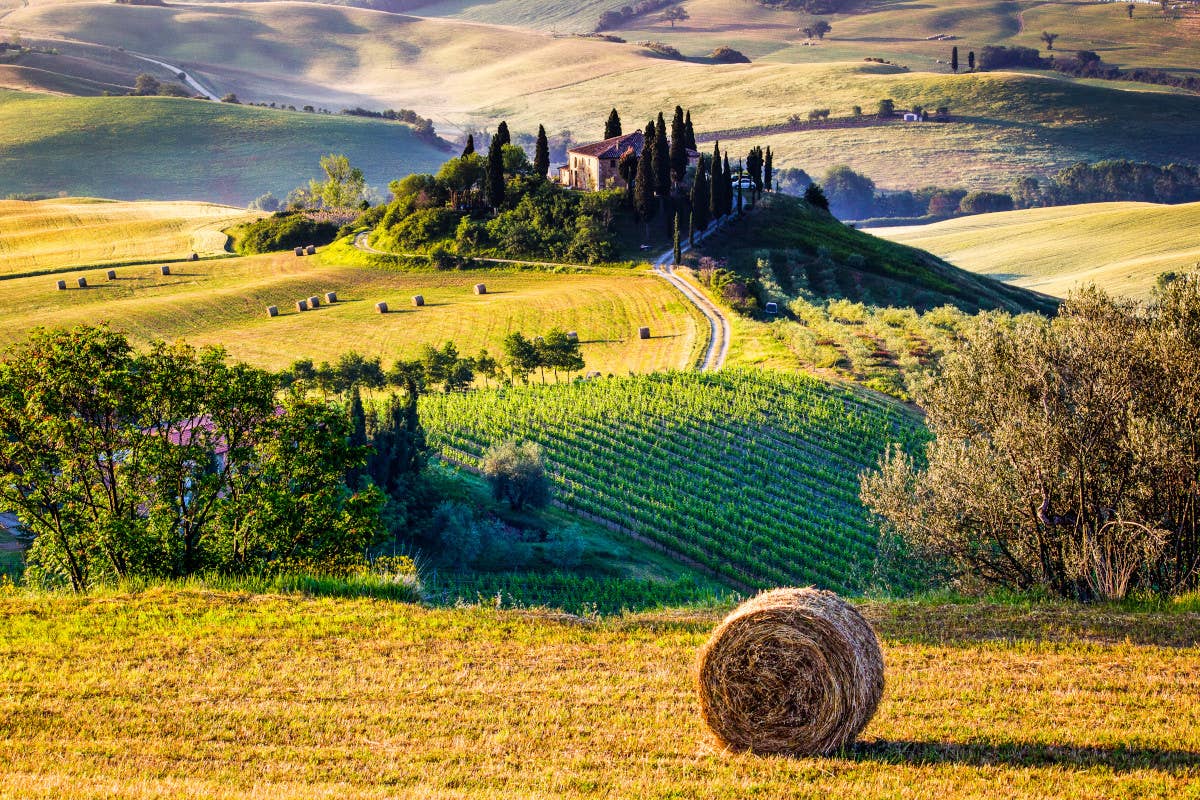 ampagna toscana - foto di Iacomino FRiMAGES Vetrina toscana, un viaggio nel gusto della tradizione