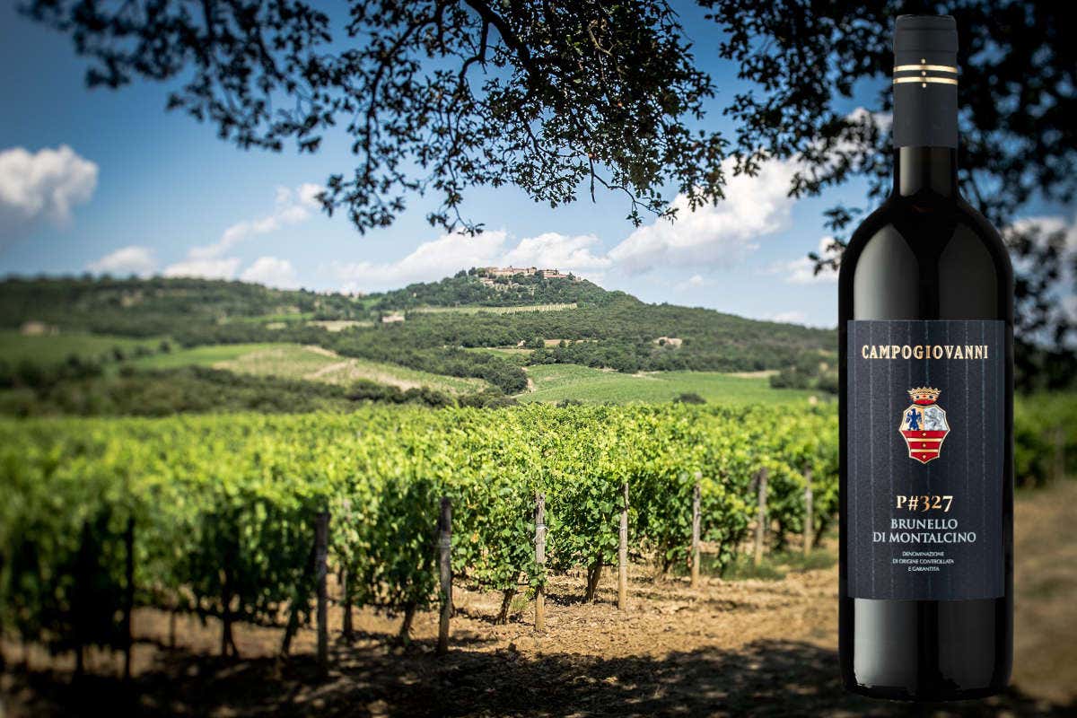 P#327, la particella che ha dato vita al nuovo Brunello di Campogiovanni P#327, la particella che ha dato vita al nuovo Brunello di Campogiovanni