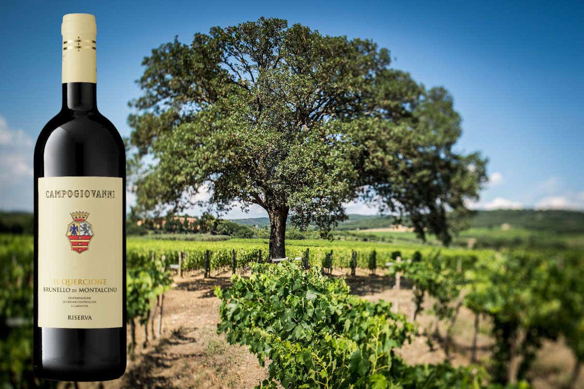 P#327, la particella che ha dato vita al nuovo Brunello di Campogiovanni P#327, la particella che ha dato vita al nuovo Brunello di Campogiovanni