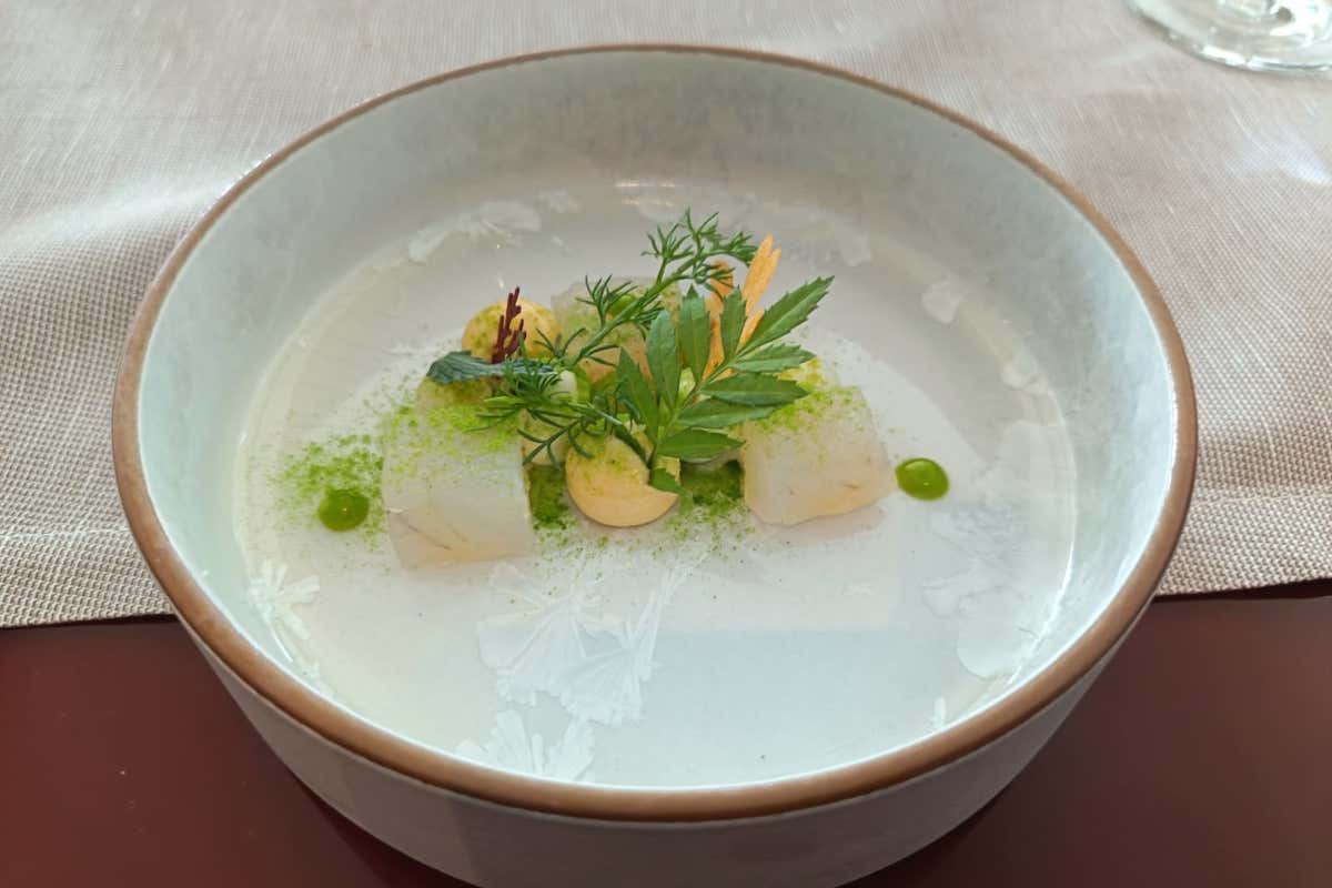 Da una mozzarella sbagliata alla stella Michelin con Cannavacciuolo, la storia di Bertone Da una mozzarella sbagliata alla stella Michelin con Cannavacciuolo, la storia di Bertone