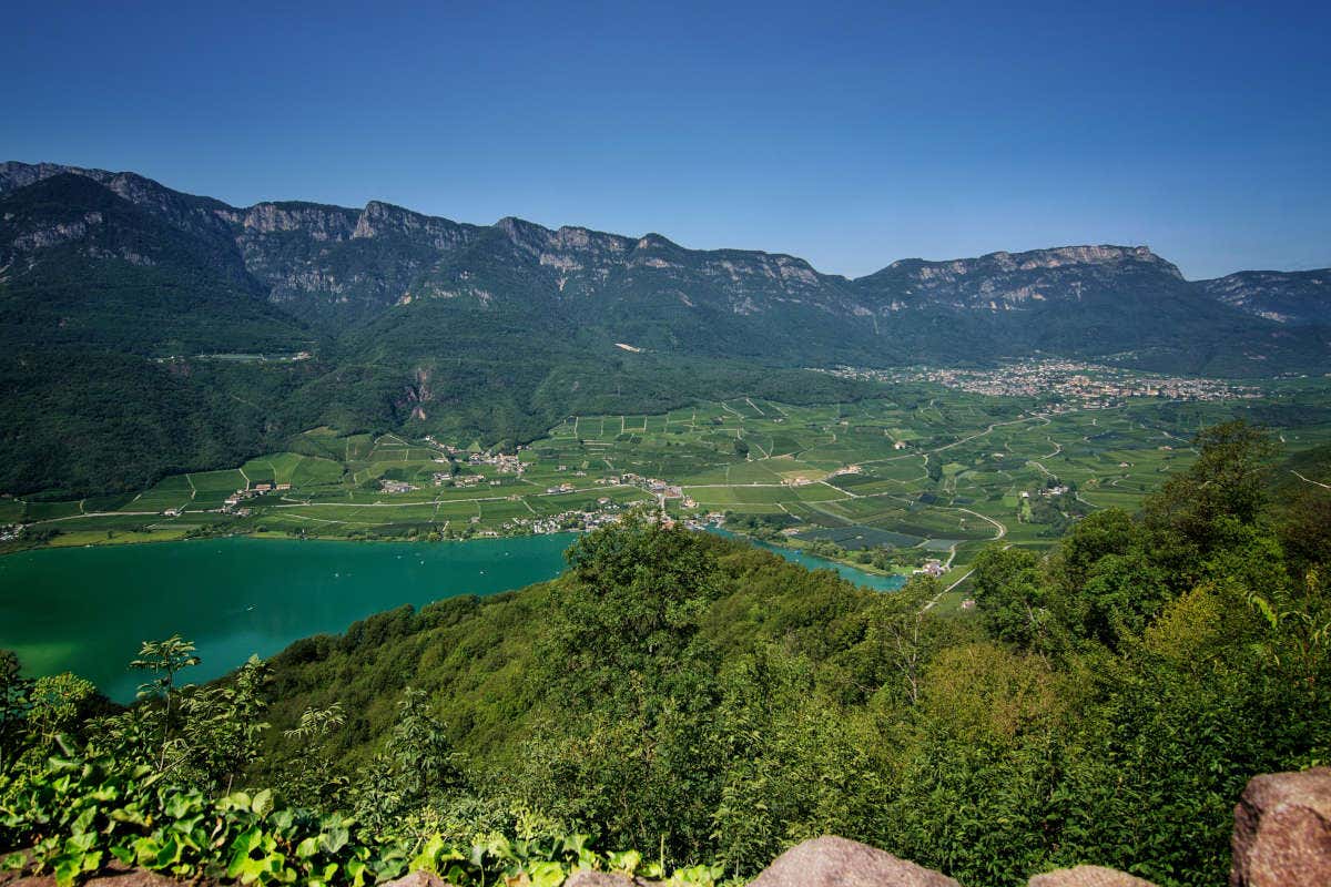 Quintessenz Pinot Bianco e Stern Sauvignon di Kaltern, perfetti con gli asparagi Quintessenz Pinot Bianco e Stern Sauvignon di Kaltern, perfetti con gli asparagi