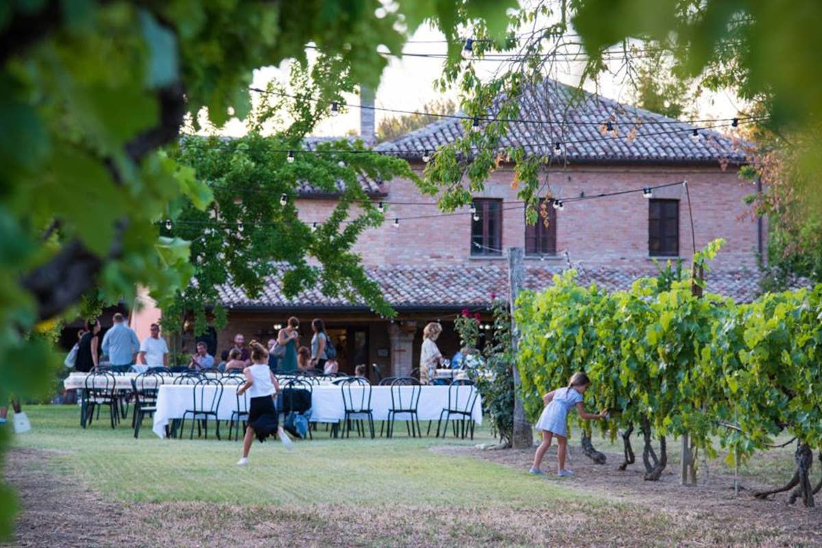 La cucina del ristorante AlMare in abbinamento ai vini di Mariotti e Di Sante