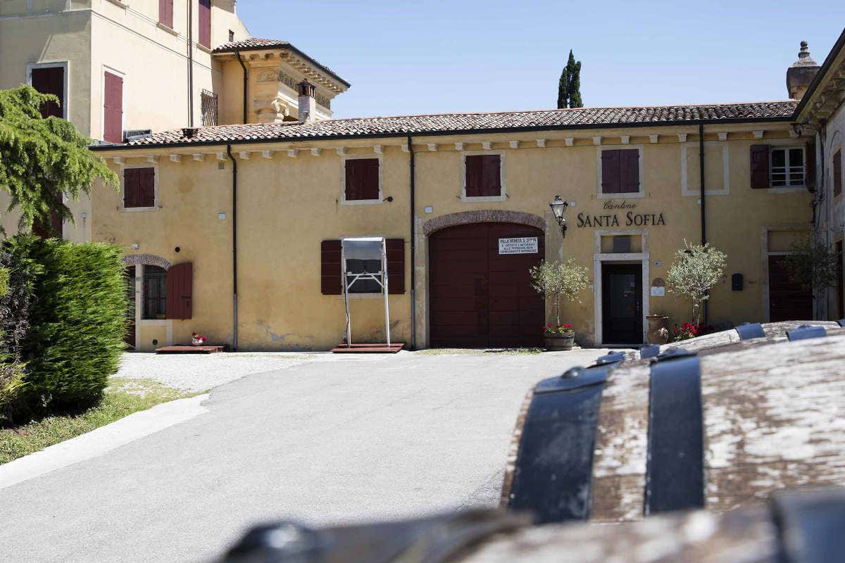 Santa Sofia, ecco l'Amarone della Valpolicella Docg Classico Riserva 2015