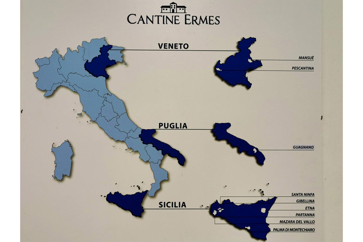 I territori di Cantine Ermes Epicentro e Quattro Quarti di Cantine Ermes, espressioni di armonia e piacevolezza
