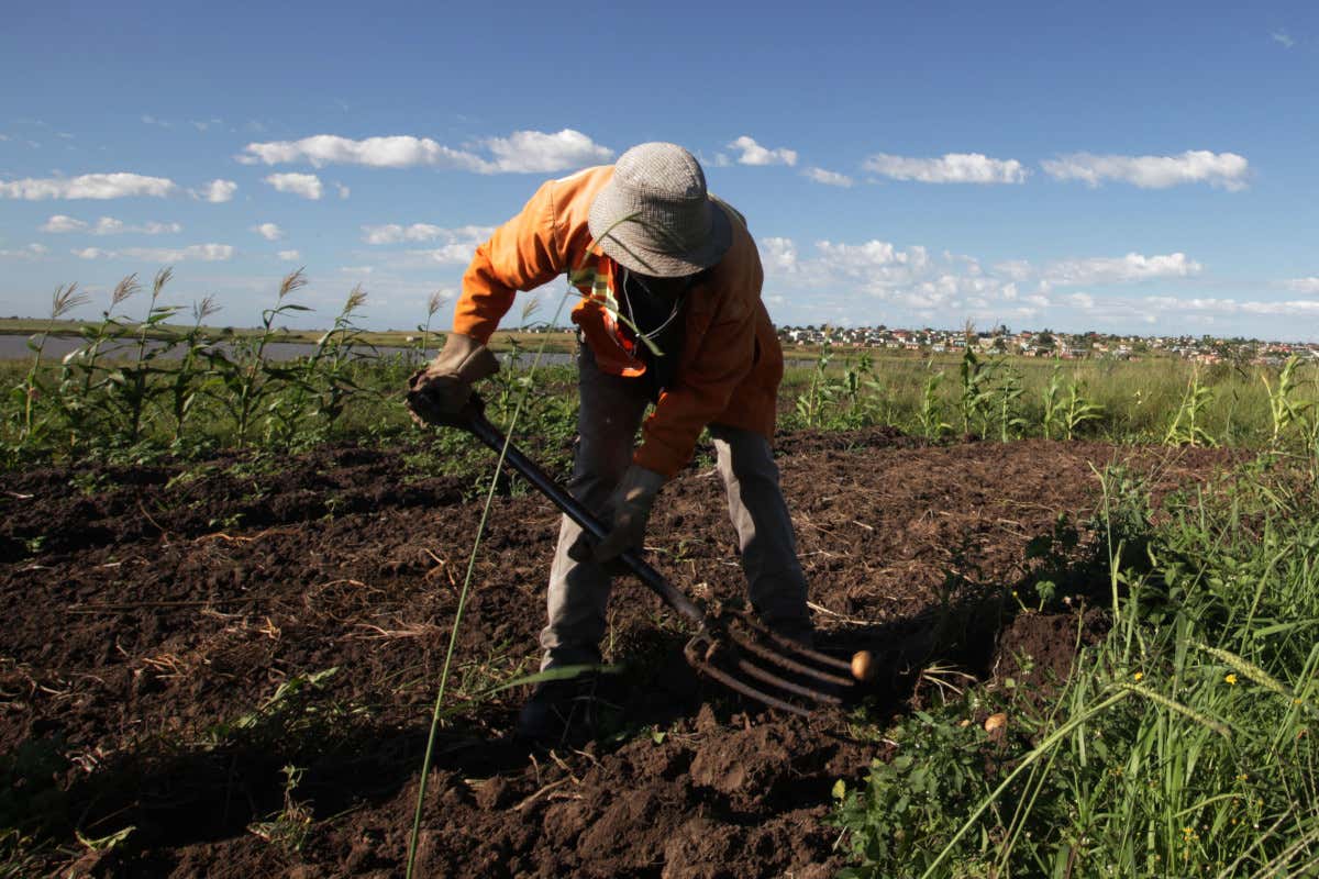 Caporalato controlli shock: irregolare un'azienda agricola su due