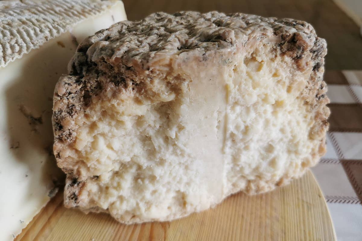 Capralat, dove l'amore per le capre diventa formaggio d'eccellenza