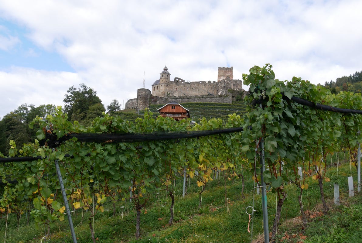 Kaerten Glanegg In Carinzia risorge il vino. Spunto per i wine lovers
