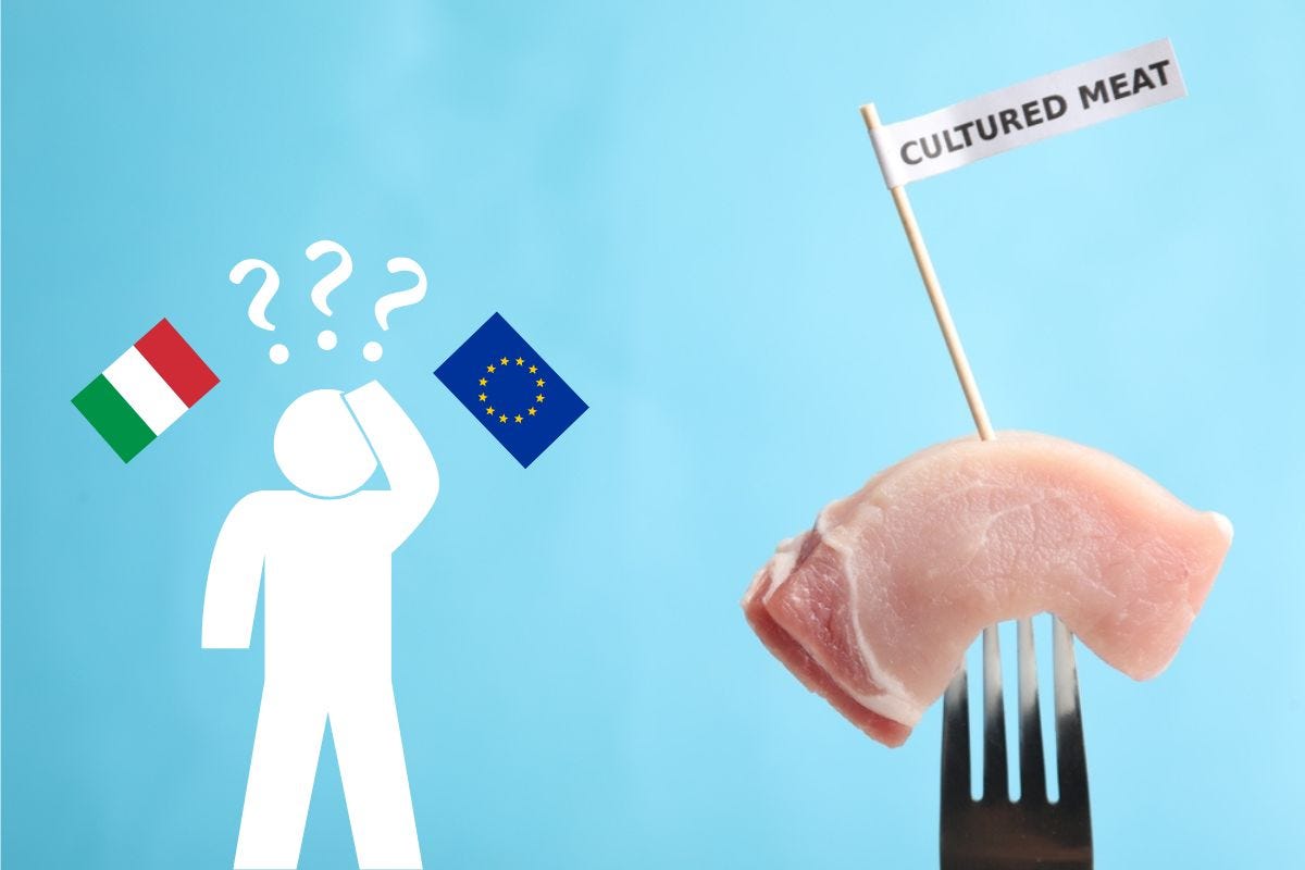 Carne coltivata, il Governo “cerca” in Europa nuove garanzie