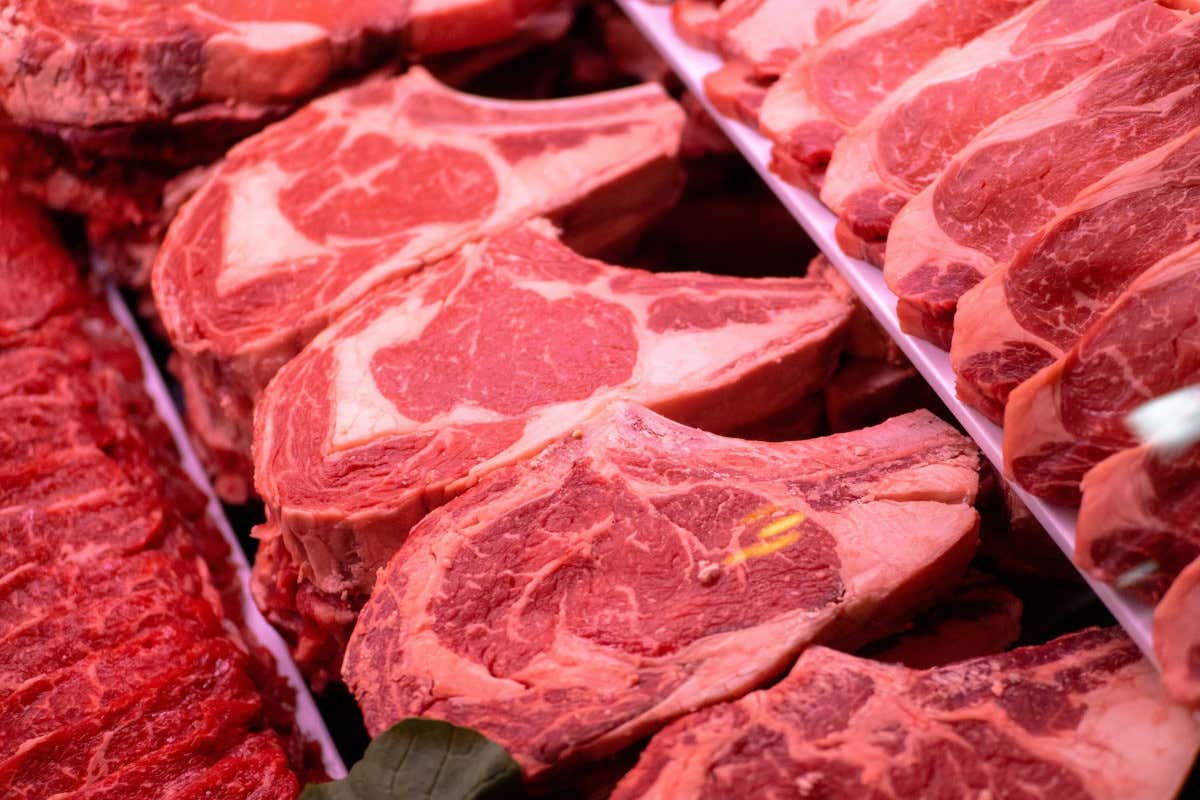 Carne rossa e tumori: cosa dice la scienza e quanto conta la quantità Carne rossa e tumori: cosa dice la scienza e quanto conta la quantità