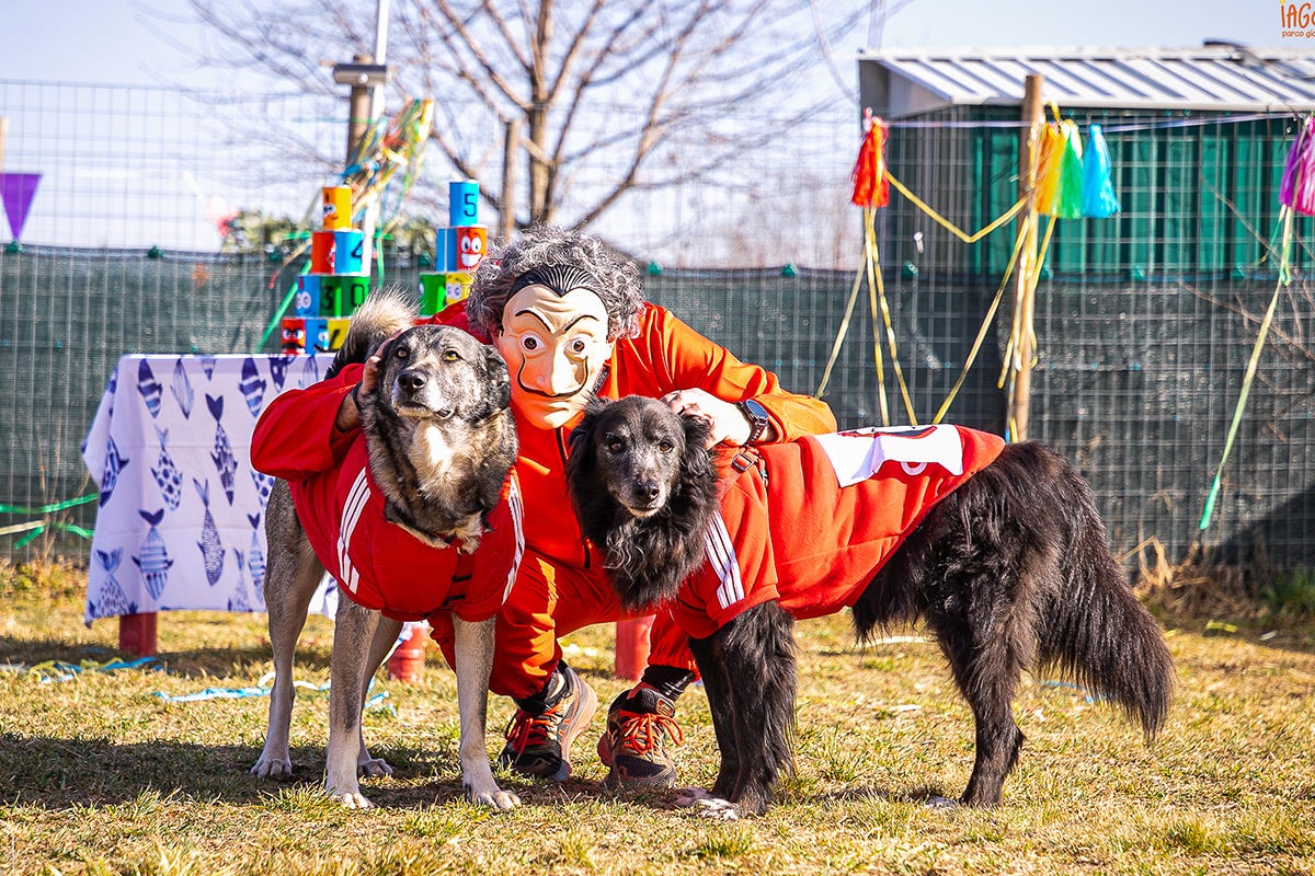Per Carnevale a Iagolandia i cani sono al centro della festa Un supercarnevale a misura di cane