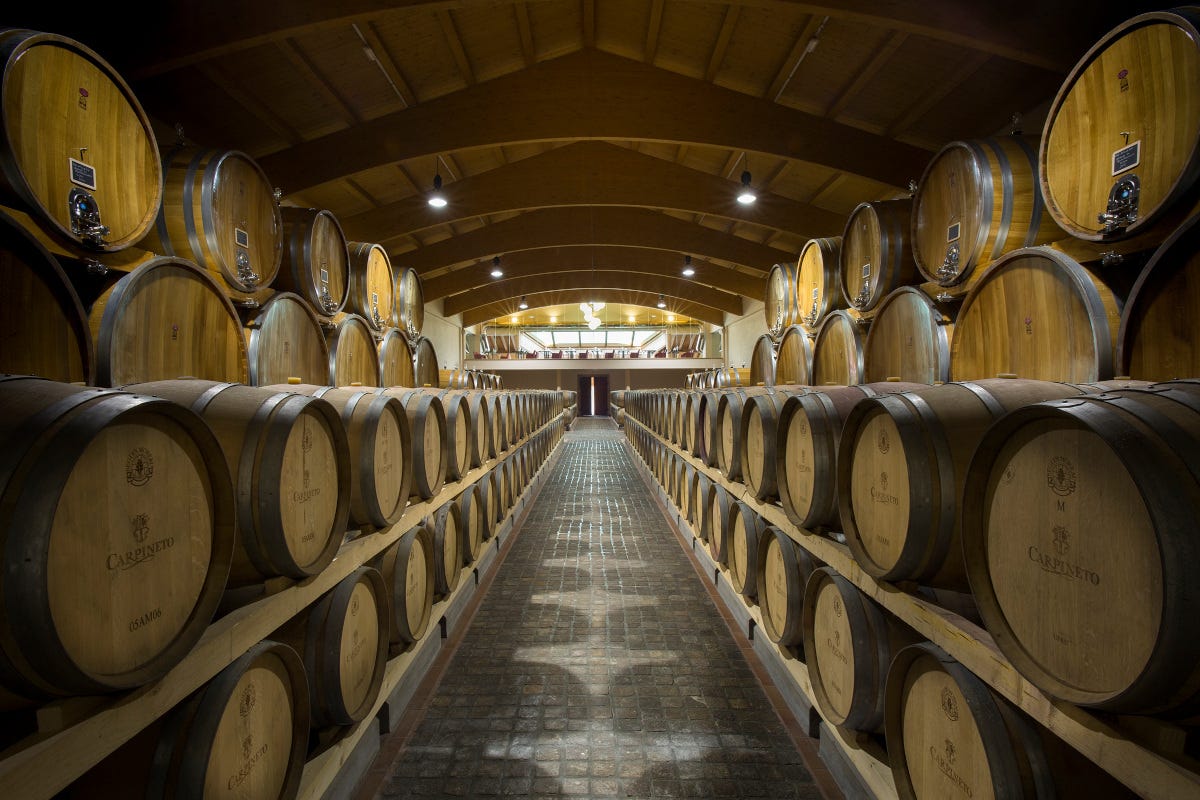 Carpineto: tradizione e innovazione si incontrano per creare vini unici