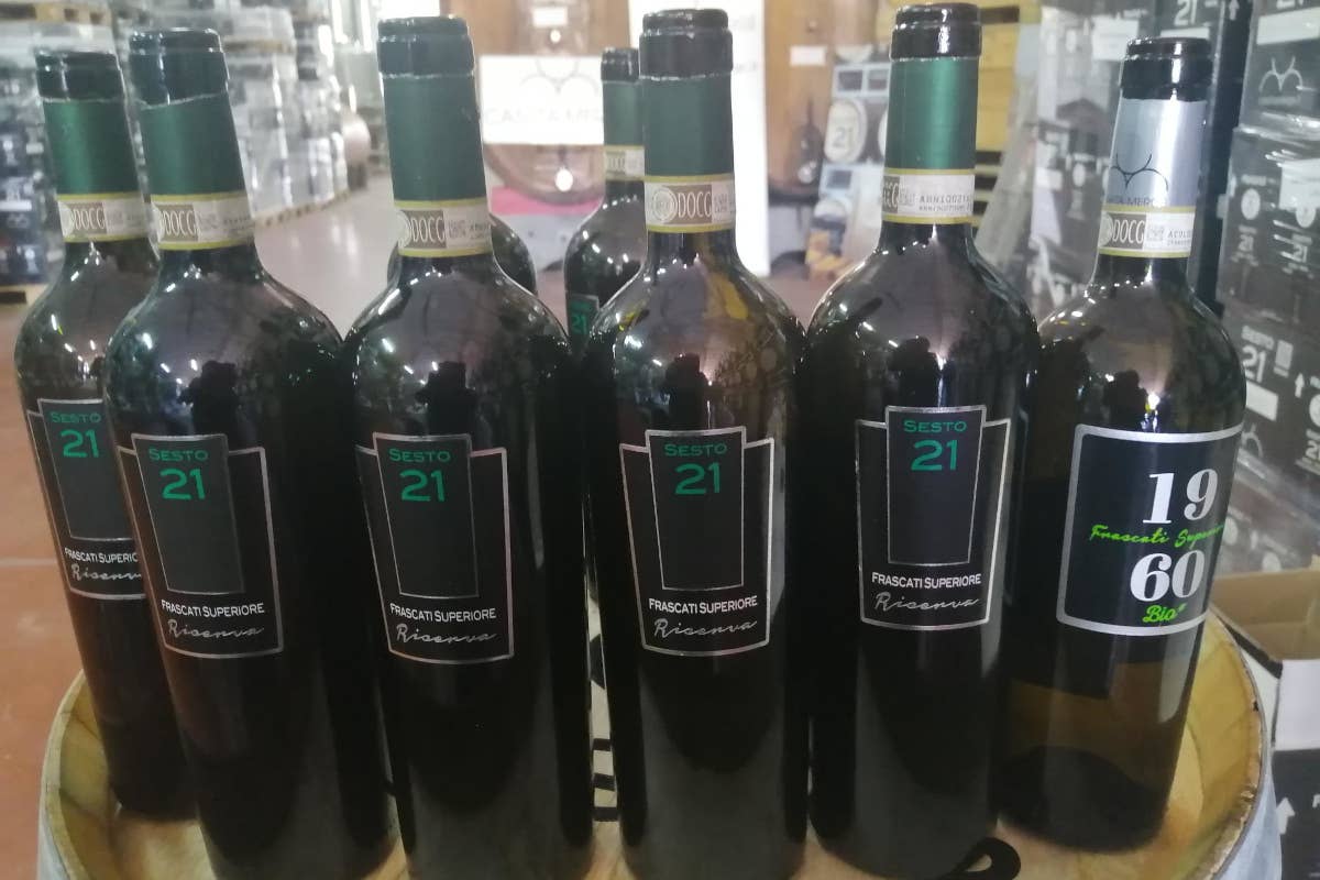 Castelli Romani: alla scoperta della Casata Mergè e dei suoi vini