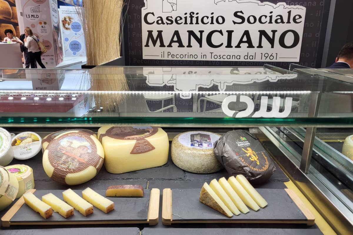 Caseificio Manciano, tutte le sfumature del Pecorino Toscano Dop