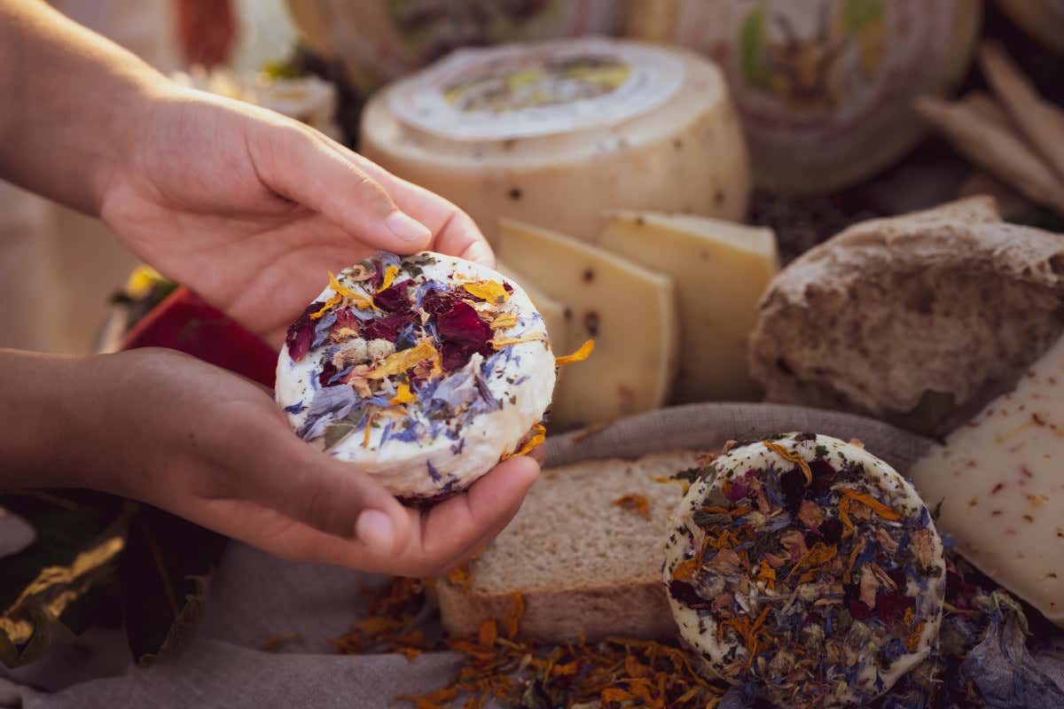 In Veneto c’è un caseificio che trasforma tre latti in formaggi d’autore