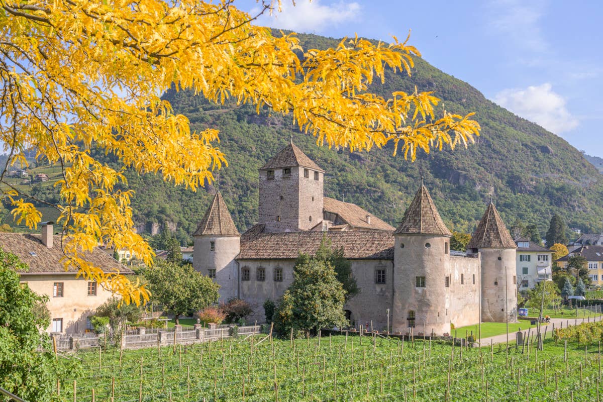 Vino, castagne e speck: esperienze d'autunno tra Bolzano e il Renon