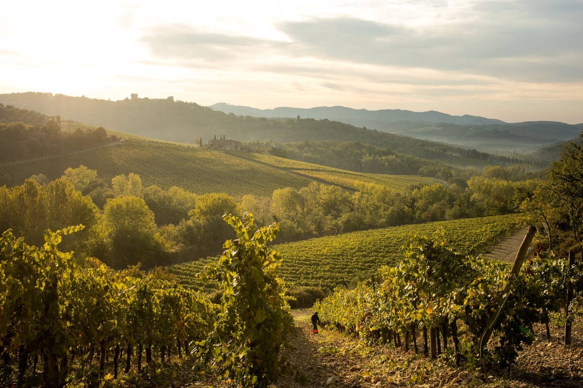 Castello di Meleto: sostenibilità, innovazione e vini di eccellenza