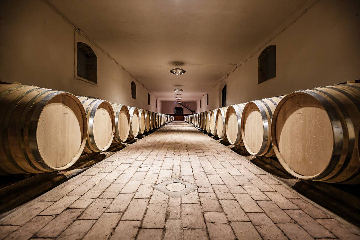 La cantina Castello del Terriccio, assaggi seducenti dalle colline toscane