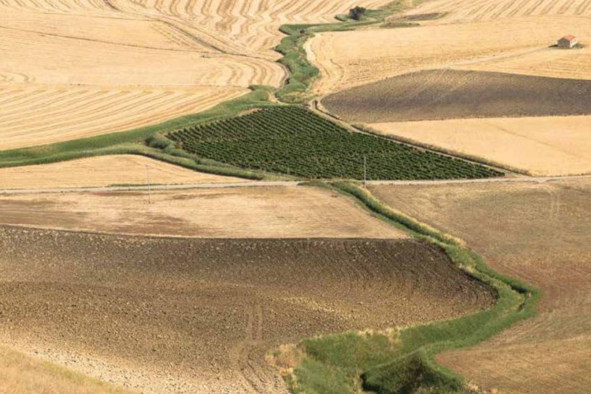 Il piccolissimo vigneto Castellucci Miano, bollicine di montagna di grande beva