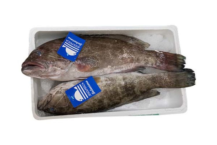Cattel, il gusto della qualità: arriva il pesce garantito da JesolPesca Selezione