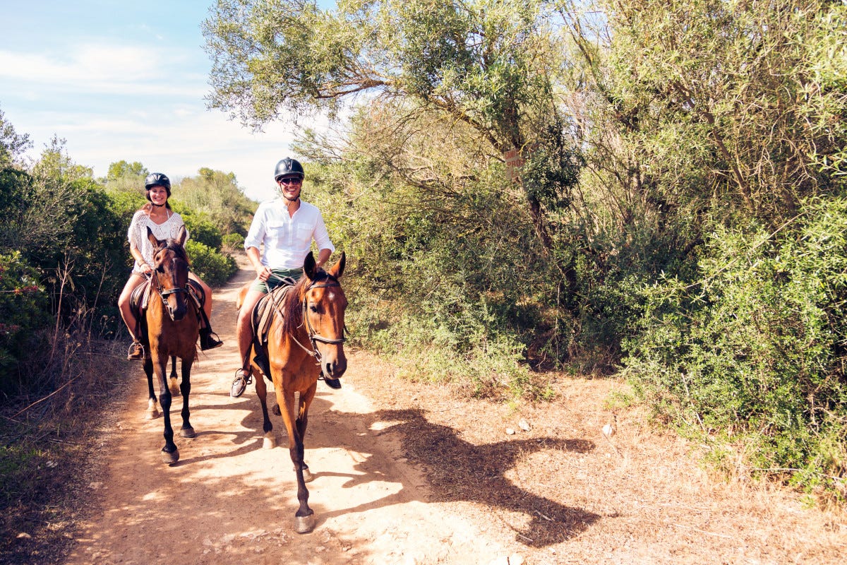 Passeggiata a cavallo Dalla pet therapy al turismo: sono 550mila i cavalli allevati in Italia