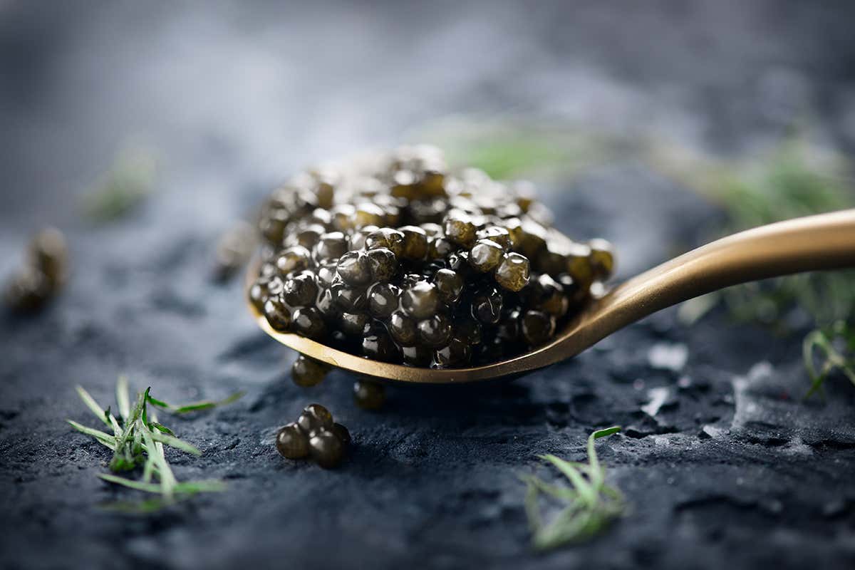 Il caviale si apprezza in purezza: dato il suo pregio, il costo e il fine aroma, cucinarlo è sconsigliabile Sulle tavole delle feste non può mancare il caviale