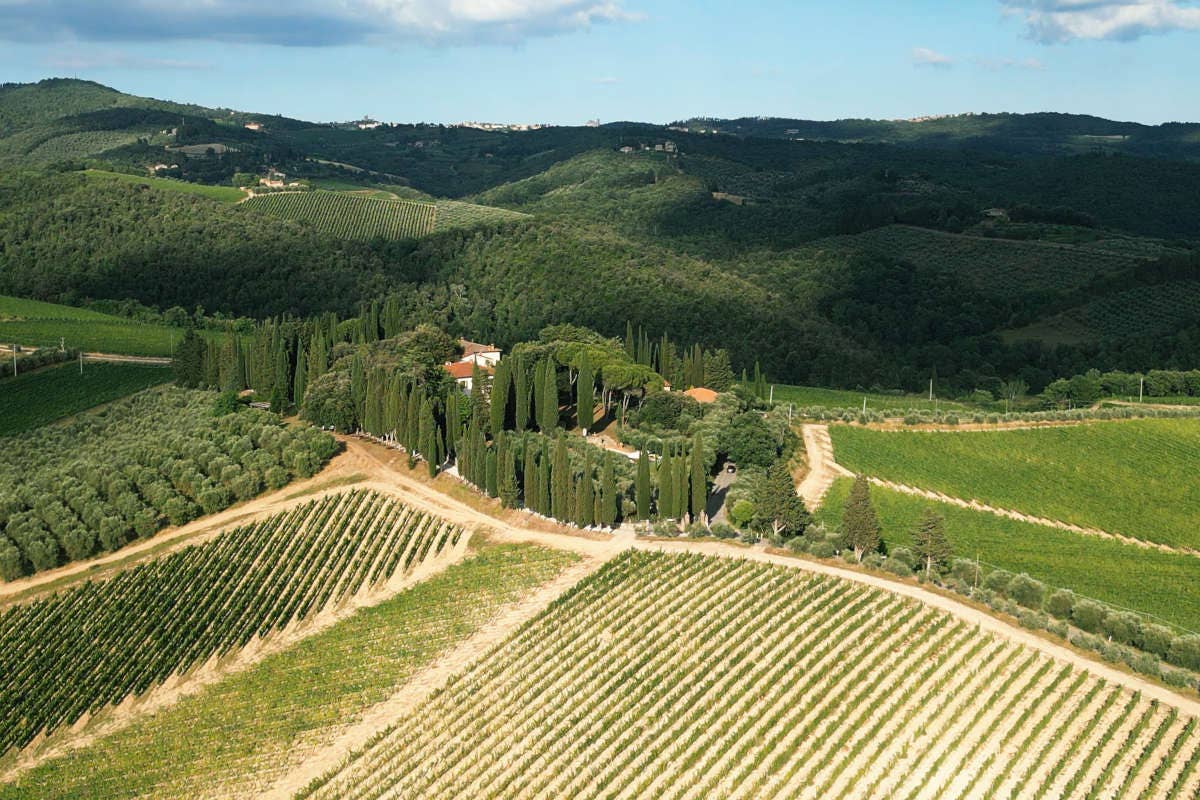  Ribaldoni di Villa Rosa: vino cru nel Chianti Classico firmato Cecchi