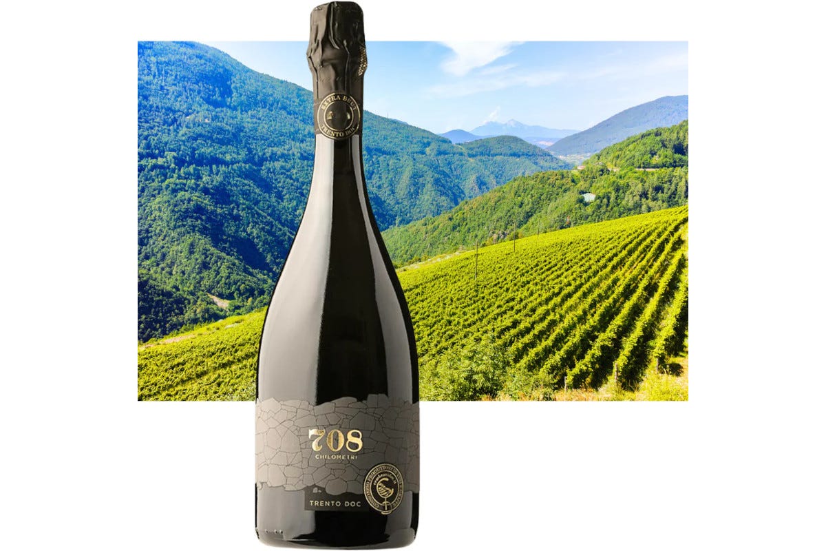 I vini eroici della Val di Cembra: un patrimonio da scoprire e gustare