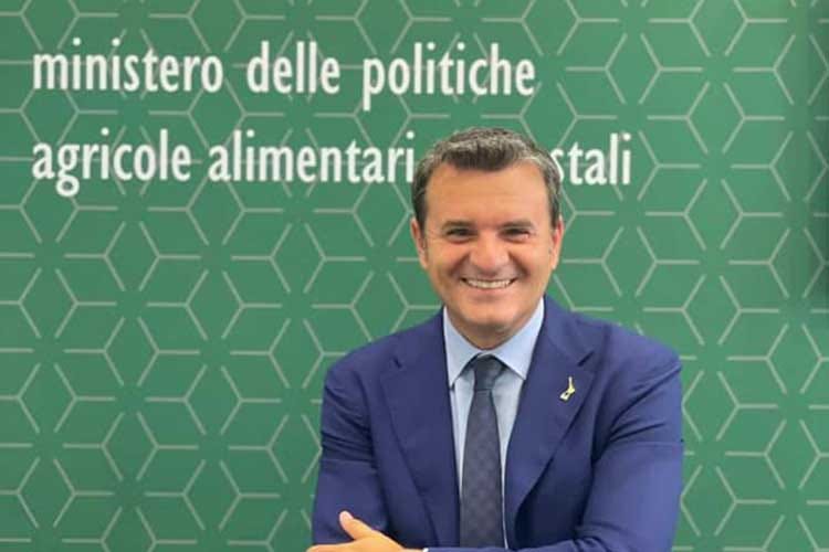 Gian Marco Centinaio Altro ok dell'Ue alla relazione vino-cancro. Centinaio: «Continuiamo a difendere il made in Italy»