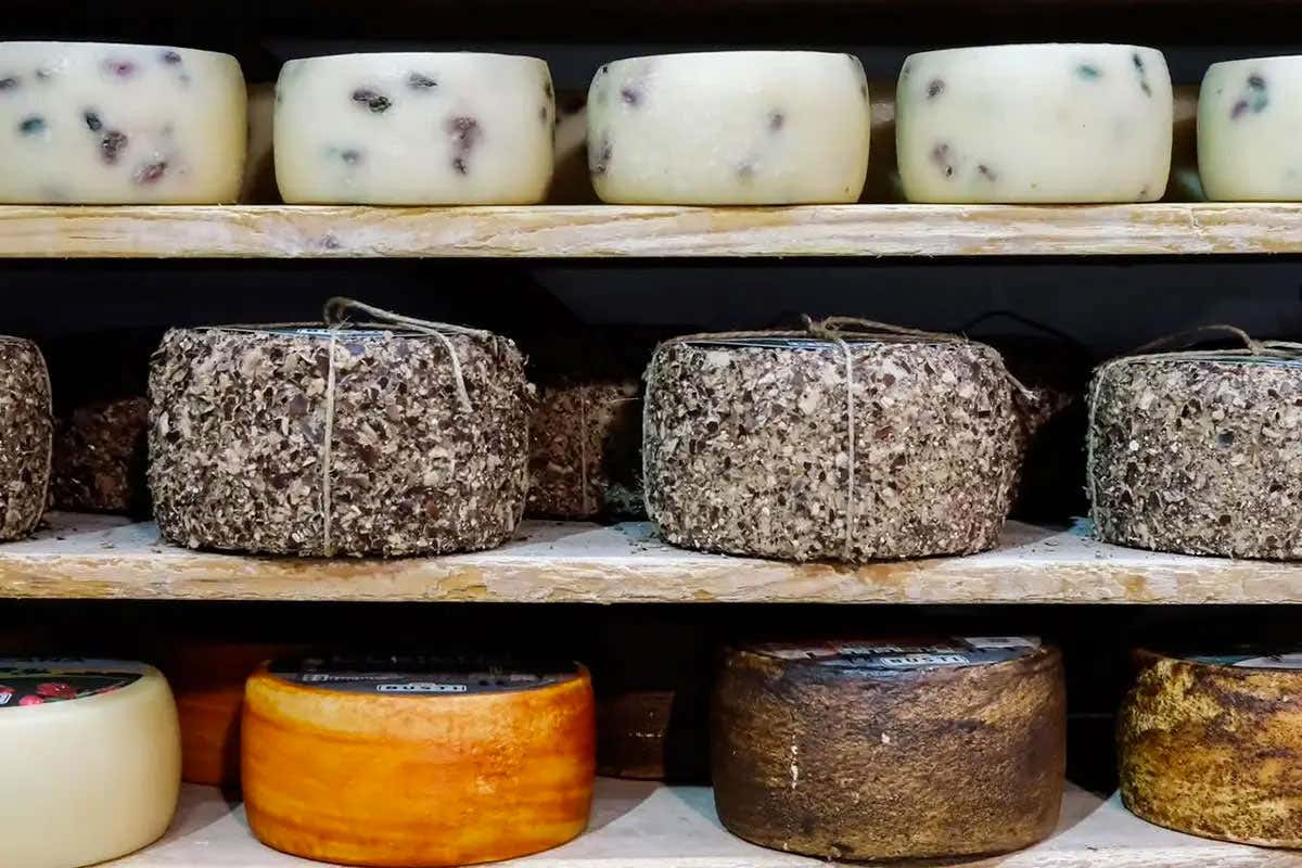 B2Cheese, il formaggio italiano lancia la sfida globale con World Cheese Capital