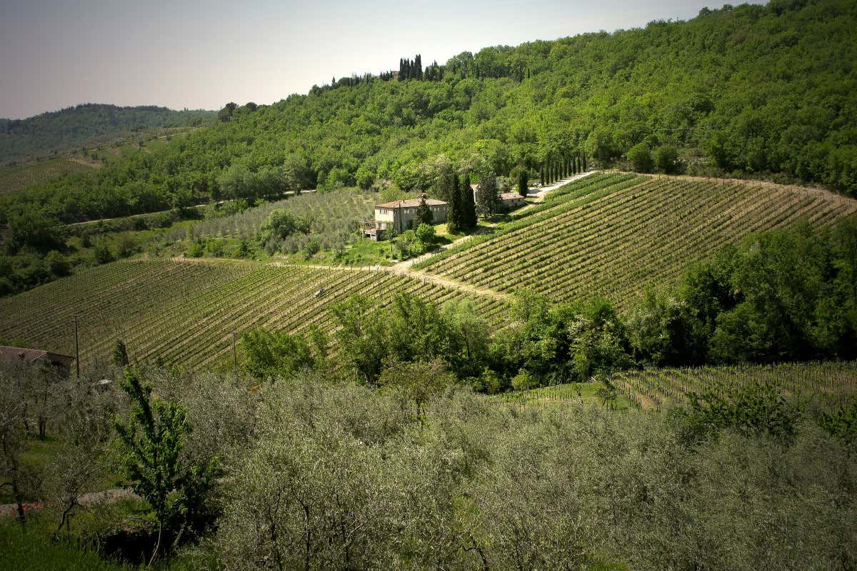 Val delle Corti, da un podere abbandonato a una delle cantine più apprezzate del Chianti Val delle Corti, da un podere abbandonato a una delle cantine più apprezzate del Chianti