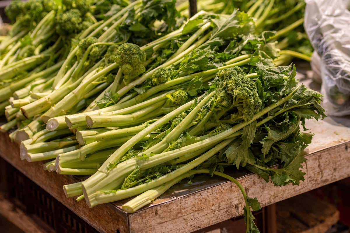 Cime di rapa: le proprietà di un ortaggio simbolo della cucina mediterranea Cime di rapa: le proprietà di un ortaggio simbolo della cucina mediterranea