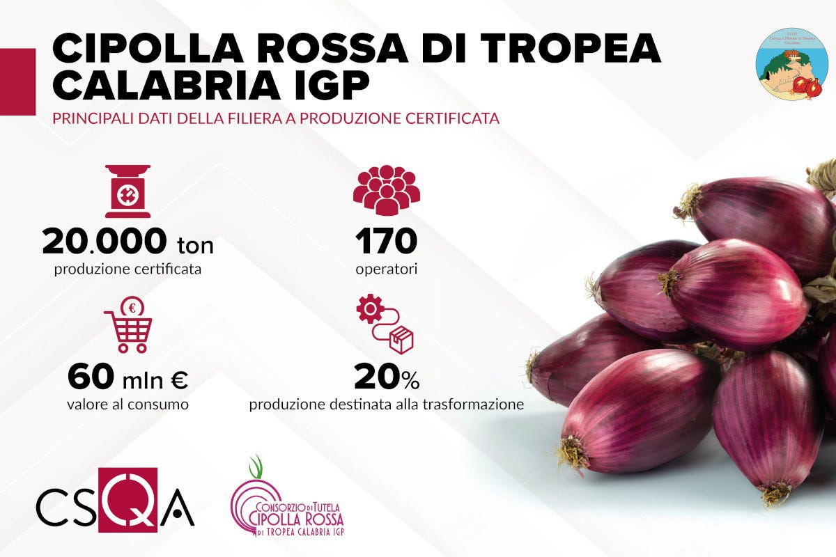 Cipolla rossa di Tropea: dalla filiera certificata 60 milioni di valore al consumo