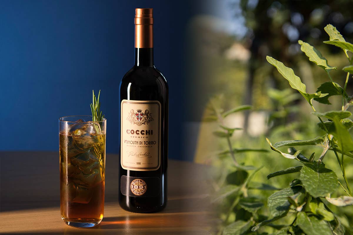 Cocchi: un'alchimia di sapori eleganti e raffinati nel mondo dei Vermouth