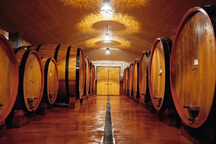 L'azienda vitivinicola Codice Vino ha sede a Ortona - Nasce Codice vino, una cantina che racconta la terra d'Abruzzo
