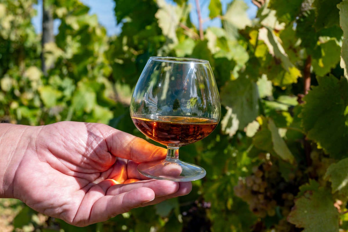 Distillati da meditazione: alla scoperta di grappa, whisky, rum e brandy