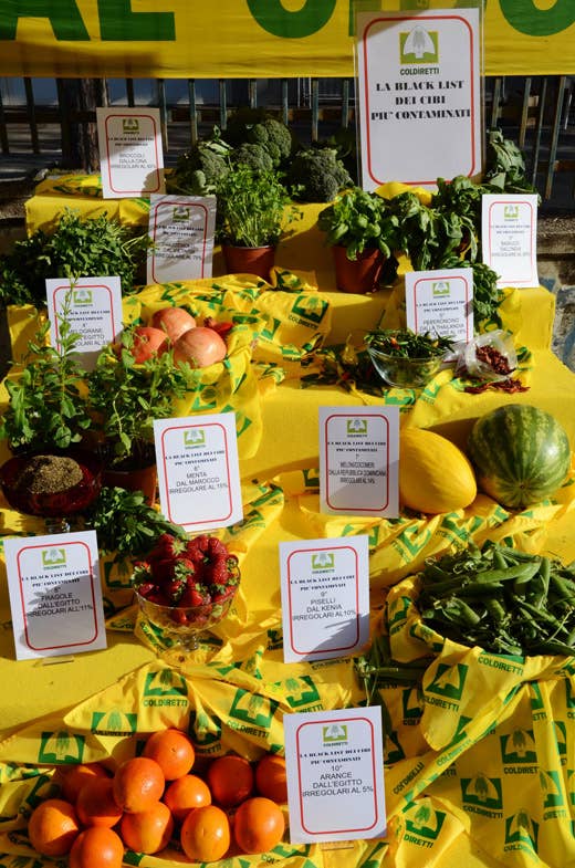 Migliaia di agricoltori in piazza a Napoli 
per Made in Italy e dieta mediterranea