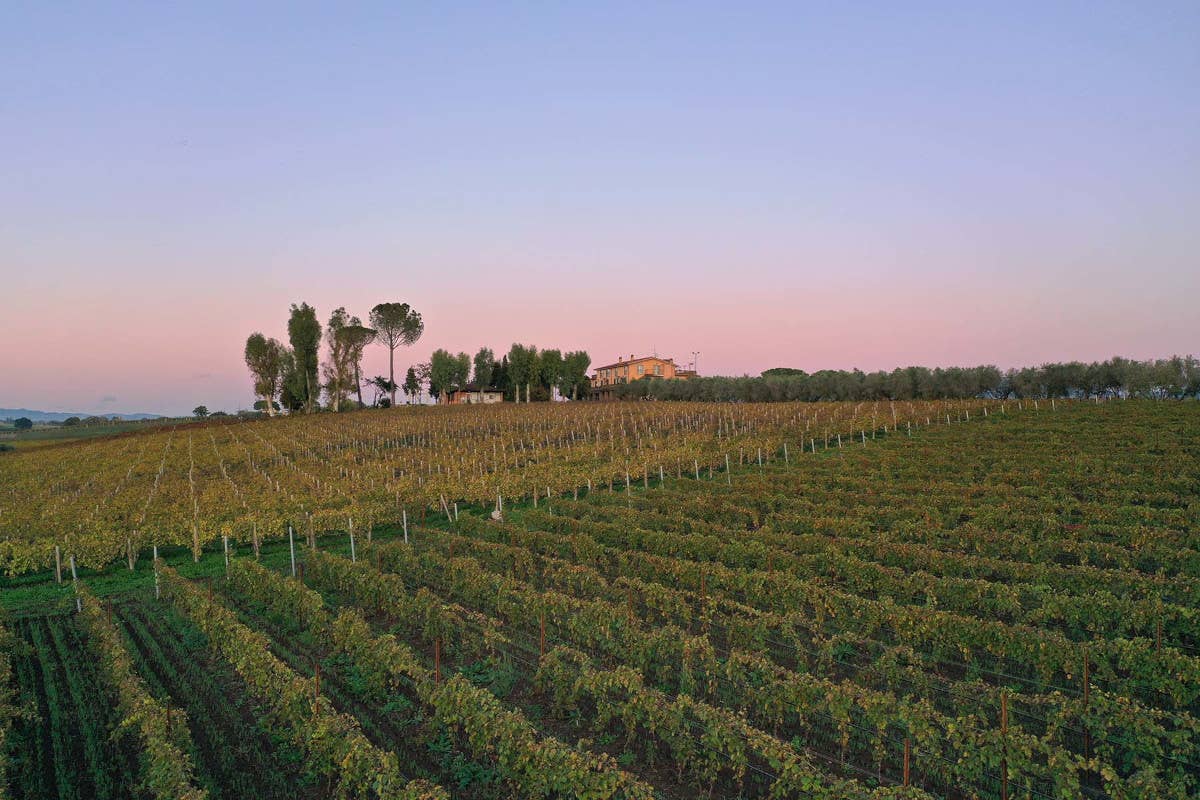 Colle di Maggio: l'azienda vinicola che racconta il Lazio in bottiglia