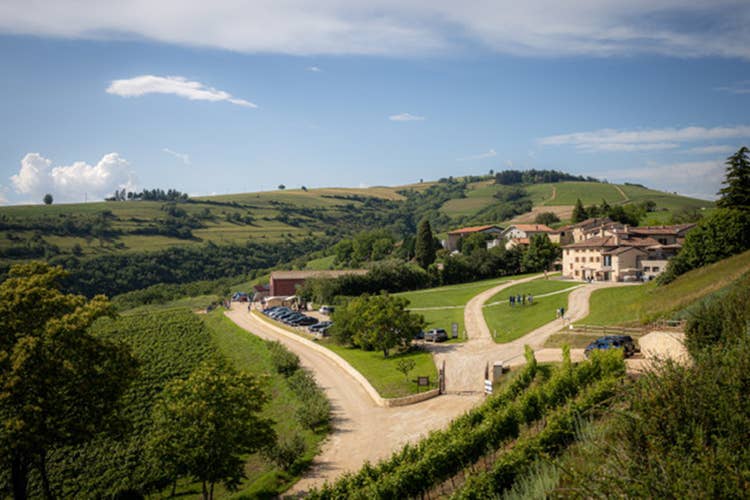 Collina dei Ciliegi - L'Amarone di Collina dei Ciliegi segna la ripresa post-Covid