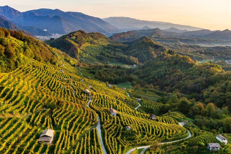 Le colline venete riconosciute Patrimonio Unesco (Colline del Prosecco UnescoDomenica l’investitura ufficiale)