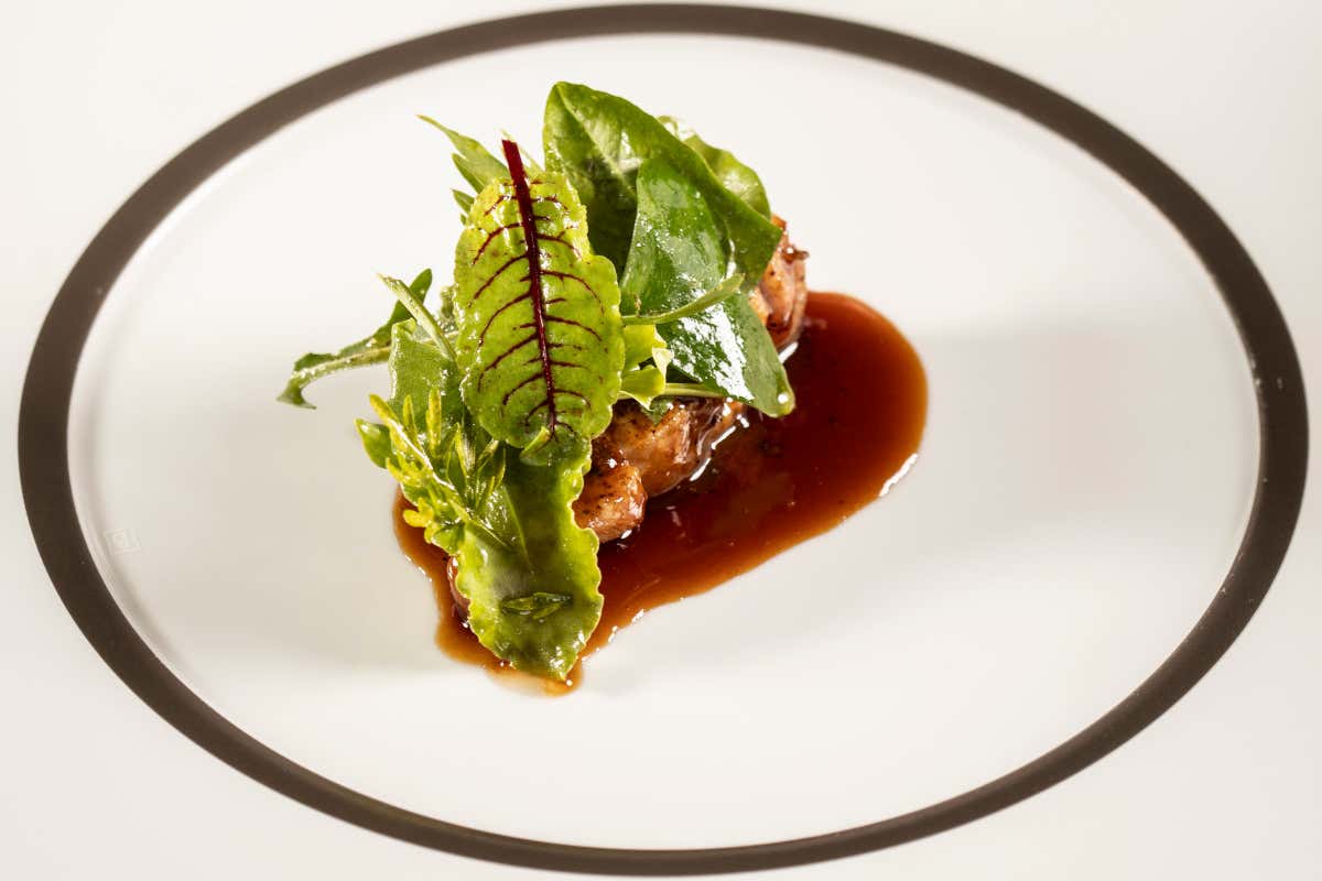 Mater, il ristorante nel cuore delle foreste casentinesi dove la natura diventa cucina Mater, il ristorante nel cuore delle foreste casentinesi dove la natura diventa cucina