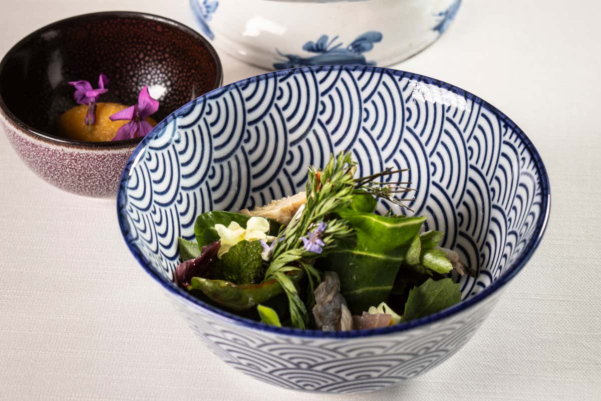 Mater, il ristorante nel cuore delle foreste casentinesi dove la natura diventa cucina Mater, il ristorante nel cuore delle foreste casentinesi dove la natura diventa cucina