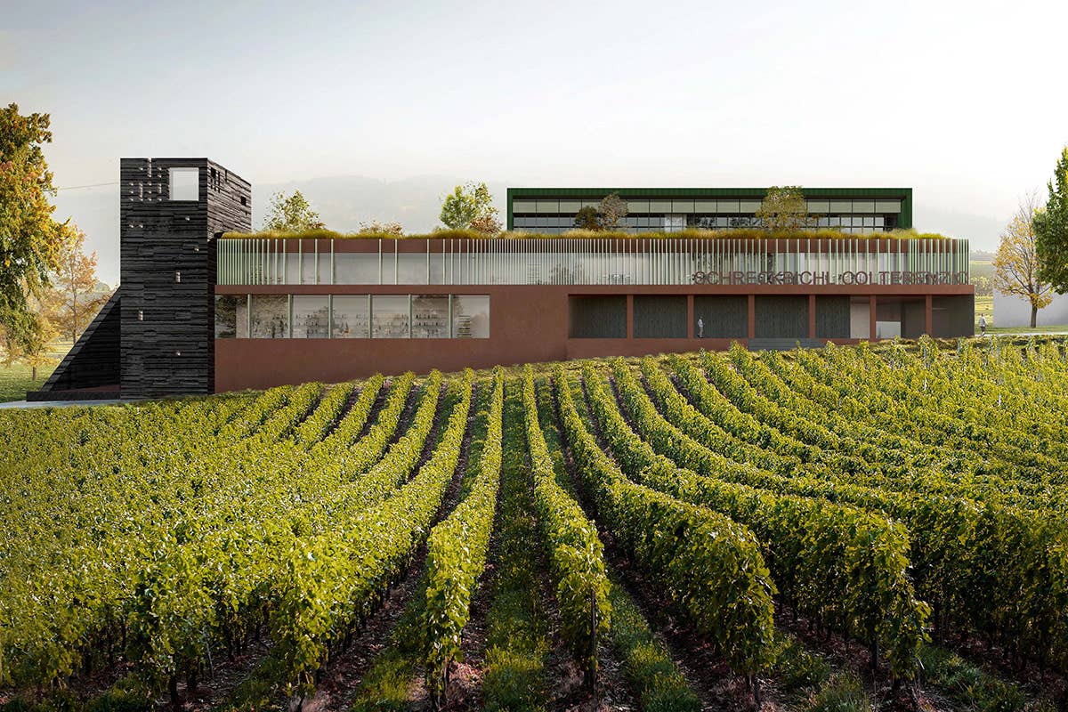 Col “Gran Lafoà” la Cantina di Colterenzio sfida i più grandi Sauvignon francesi