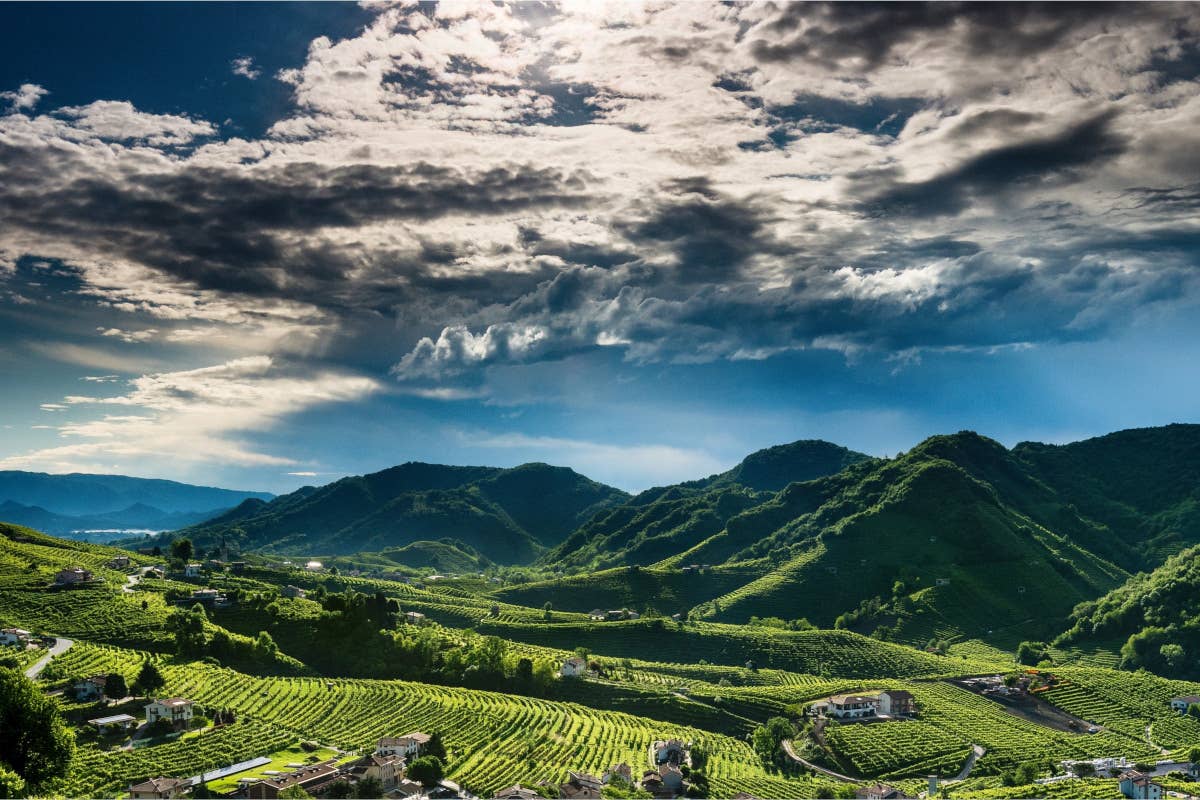 Il futuro del Prosecco: Le Colture e la sfida per la qualità e la sostenibilità