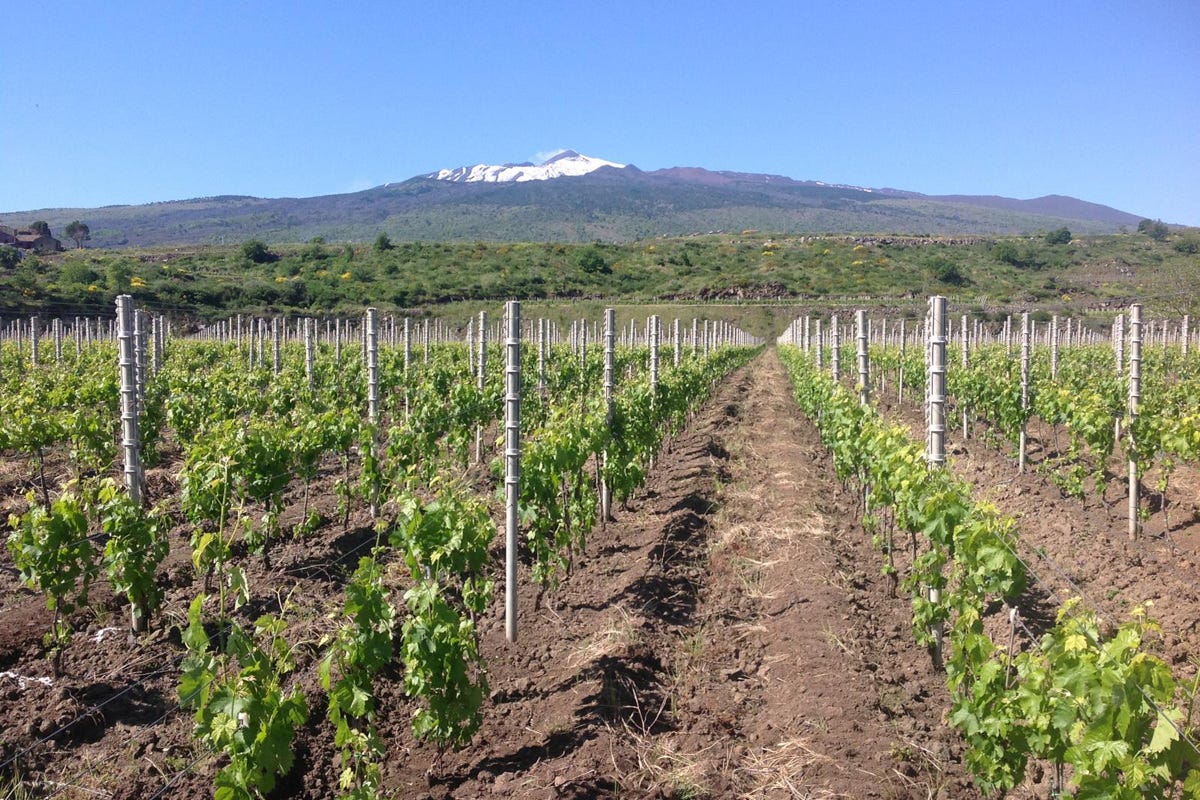 Etna Days: un brindisi internazionale ai vini del vulcano