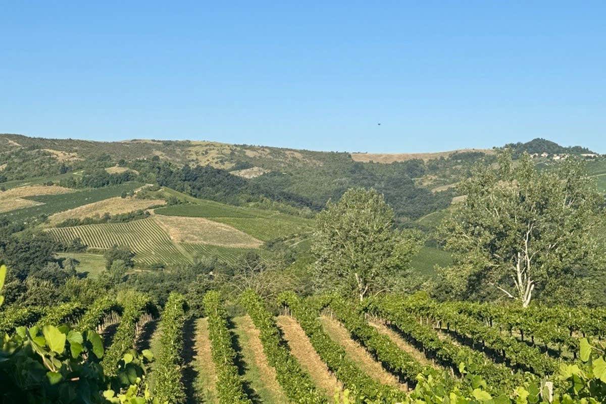 Conte Vistarino, in 160 anni di Pinot Nero la storia delle bollicine dell’Oltrepò Pavese Conte Vistarino, in 160 anni di Pinot Nero la storia delle bollicine dell’Oltrepò Pavese